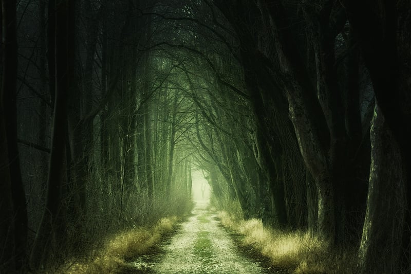 Magic Portal Path